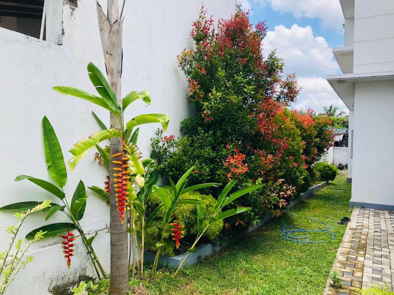 Vidushi Home Minuwangoda المظهر الخارجي الصورة