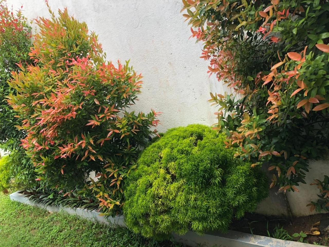 Vidushi Home Minuwangoda المظهر الخارجي الصورة
