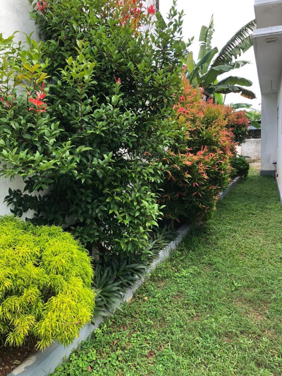 Vidushi Home Minuwangoda المظهر الخارجي الصورة